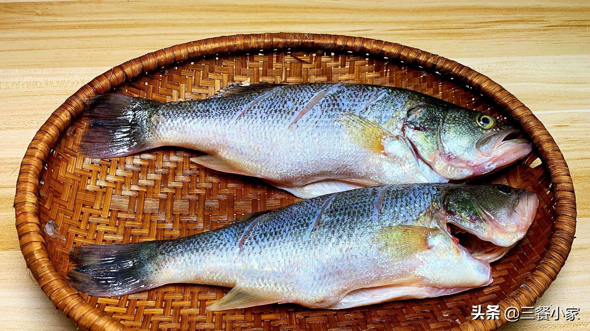 挑大挑小?海鲈好还是淡水鲈好?差别很大,不要挑错