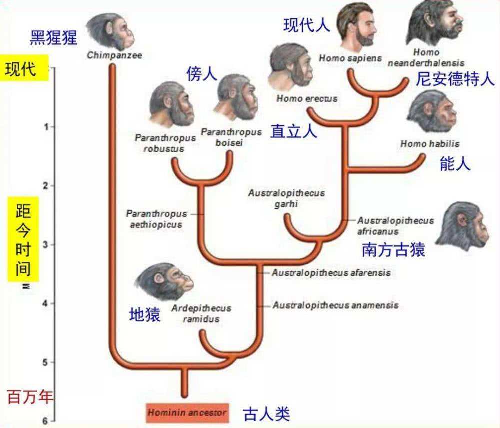 6500万年前恐龙灭绝了，人类历史不过百万年，空白期发生了什么？