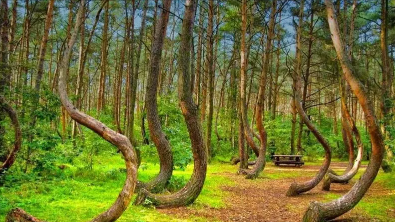 大自然的鬼斧神工正在悄然发生，地球上十大奇观，你见过哪一个？