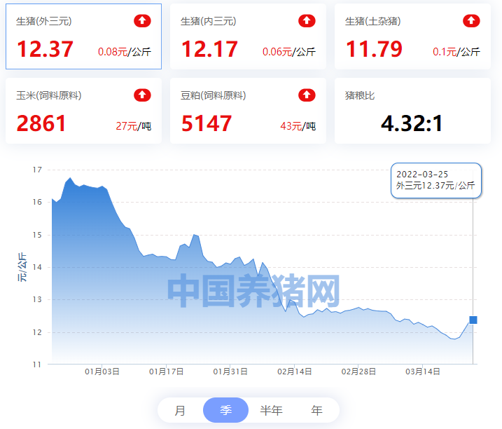 黑龙江省今日猪价木兰「黑龙江省今日猪价涨跌表」
