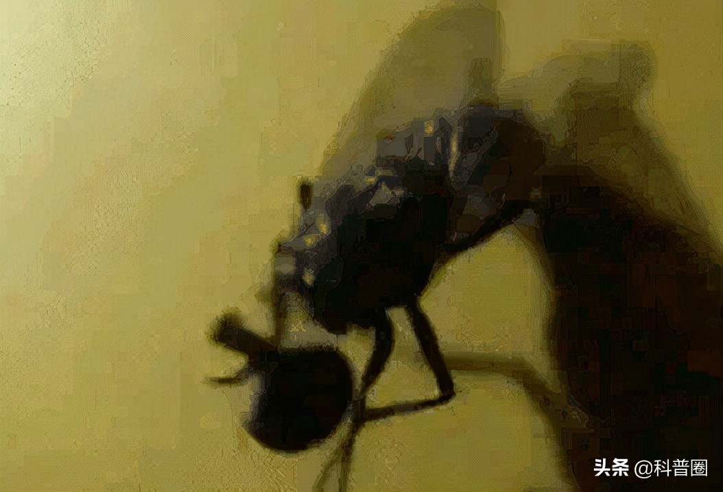 ӬܷɶߣӬܷ(fei)ߵĵط-Ʊ֪ʶѧϰ