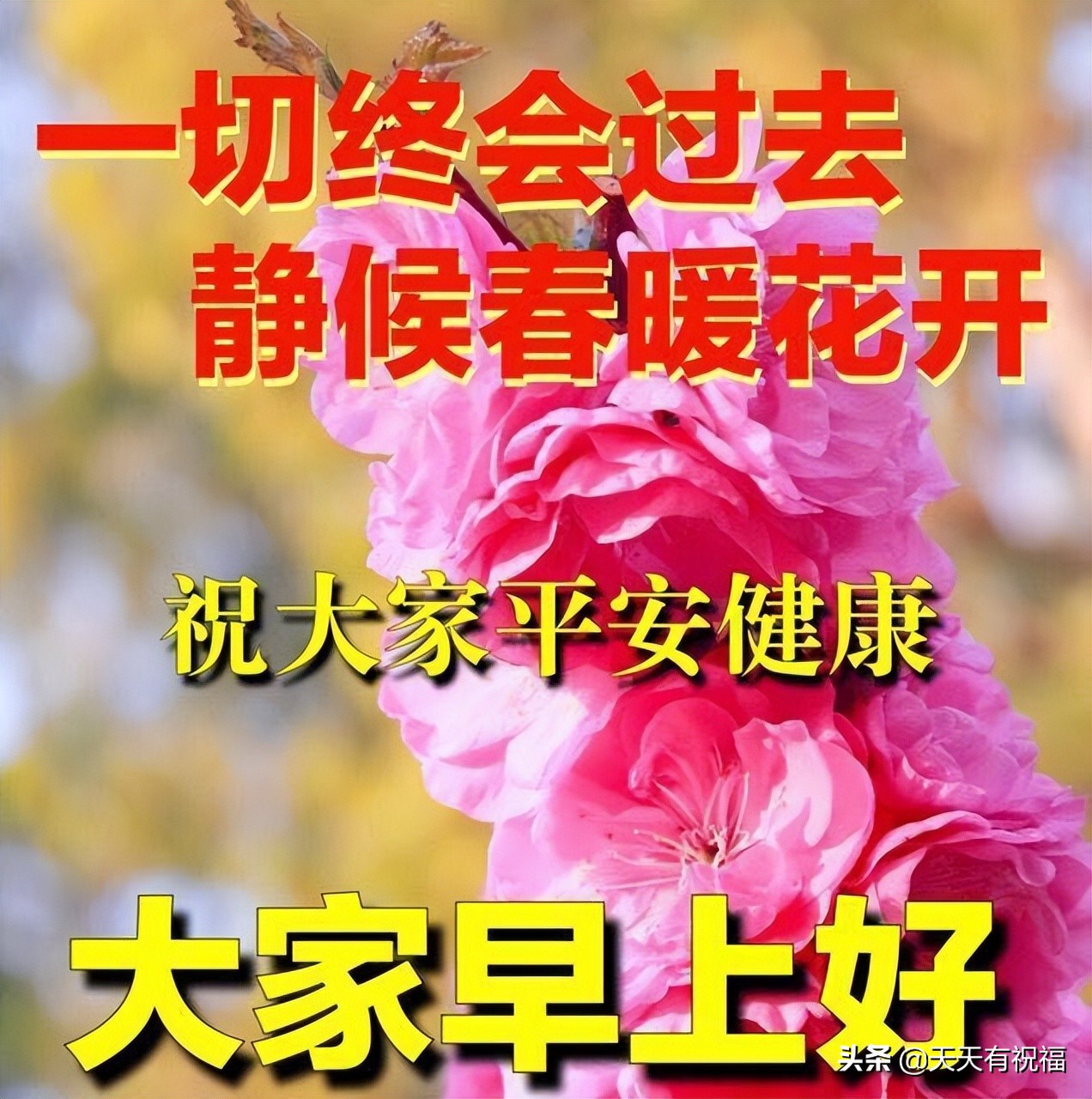 早上好短信(最新版早安短信問候祝福語大全 最美早安問候語圖片帶字