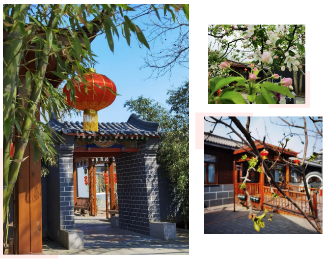 遇见春日，优雅享老！封闭期间的养老生活实录-泰和养老纳兰园