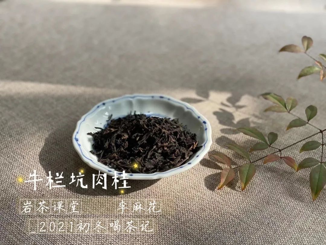 岩茶里，肉桂怎么区分好坏？听听老茶客的实话，都是踩坑后的血泪