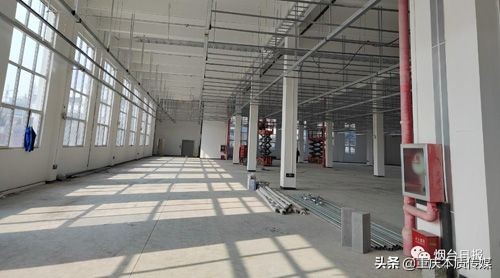 艾多美得皓齿项目建设施工步入“快车道”