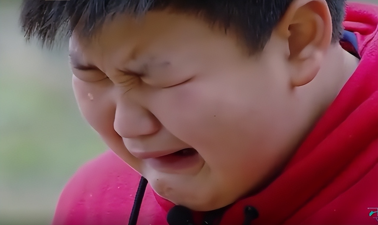 “乐华太子”：史上最惨富二代，体贴懂事的他为何被送去变形记？