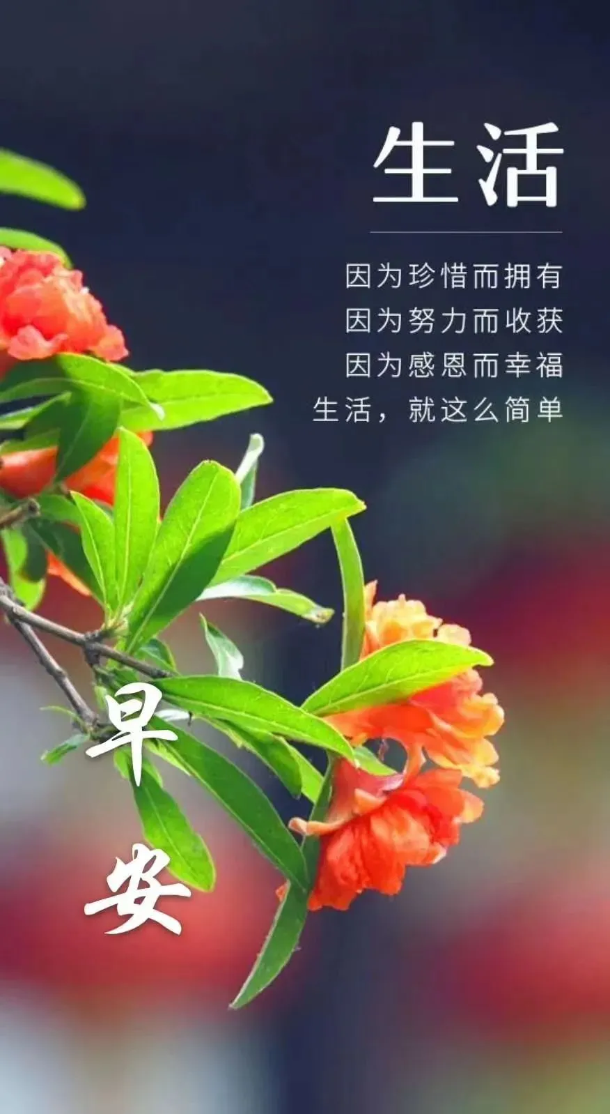 「2021.12.06」早安心语,正能量语录句子,美好的一天早上好图片