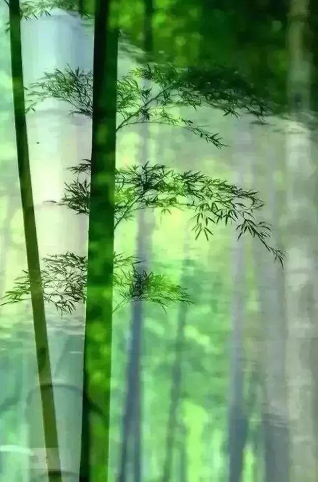 越品越懂经典，赏读之间悟人生真谛
