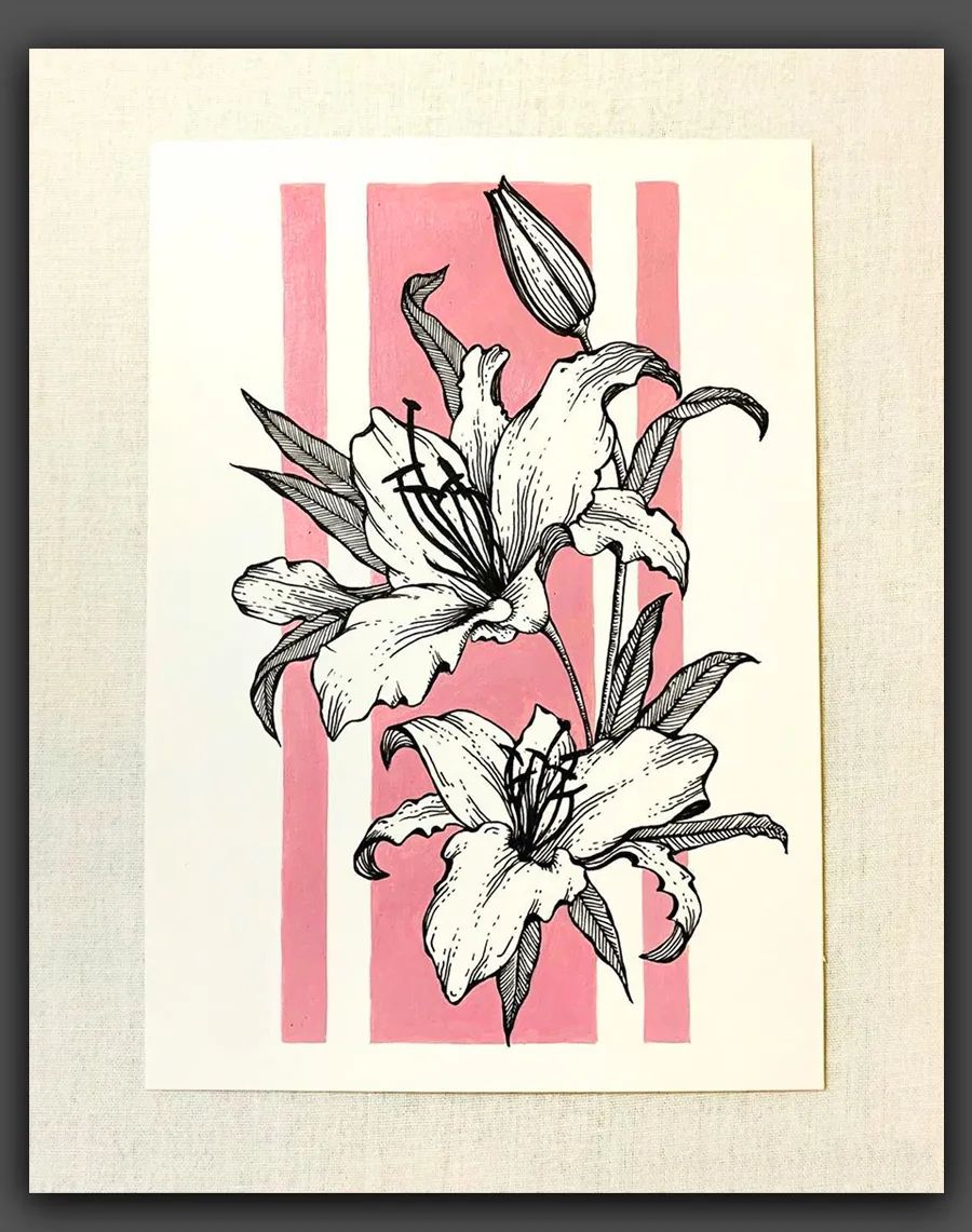 绘画|黑白线条与简洁色块,这组花卉手绘作品太美了