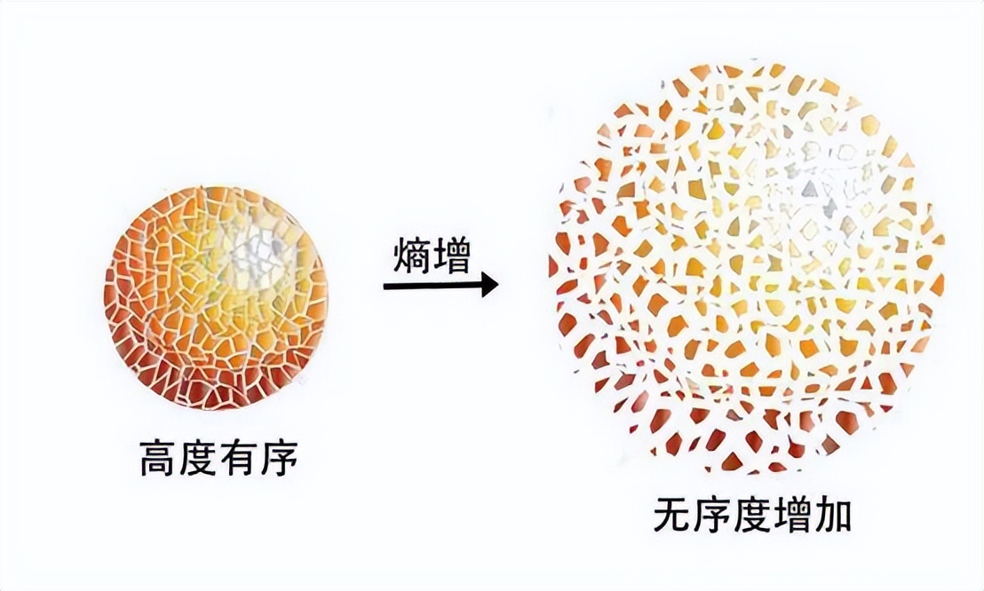 熵增定律的诞生与应用,是如何促进人类社会的可持续发展的?