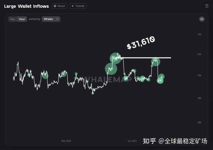 “它可以变得更容易吗？”比特币鲸鱼决定何时买卖 BTC