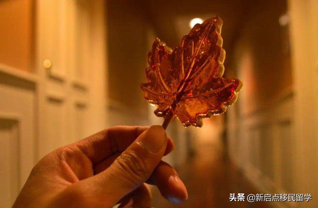 加拿大工签和雇主担保移民LMIA已获批，如何延长有效期至18个月？