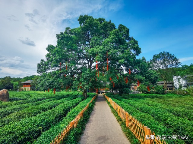 杭州有什么景点（杭州有什么景点玩）-第14张图片-科灵网