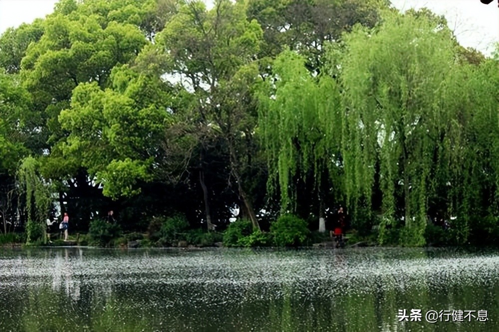 荷花十里桂三秋：十二首著名诗词，领略杭州的诗意之美