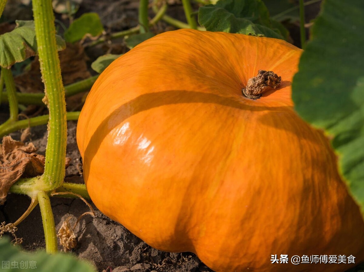 入夏后，常吃這9種“養胃”食物，好吃又好做，建議收藏