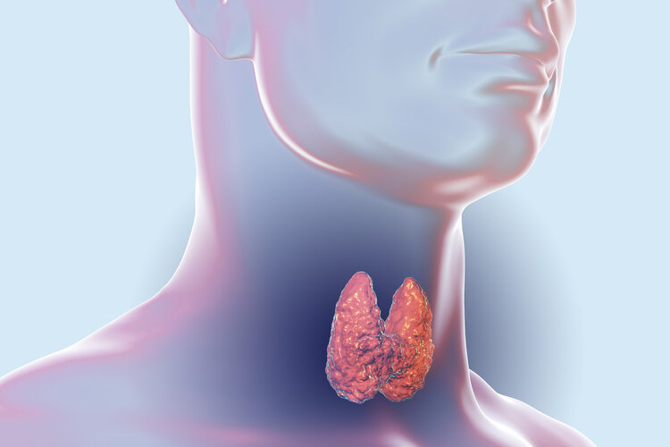 发现结节别惊慌，科学应对有方法