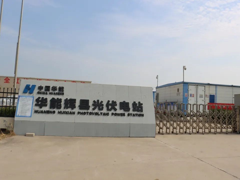 辉县市高庄乡西池头村“农光互补”：板下种养殖 致富新出路