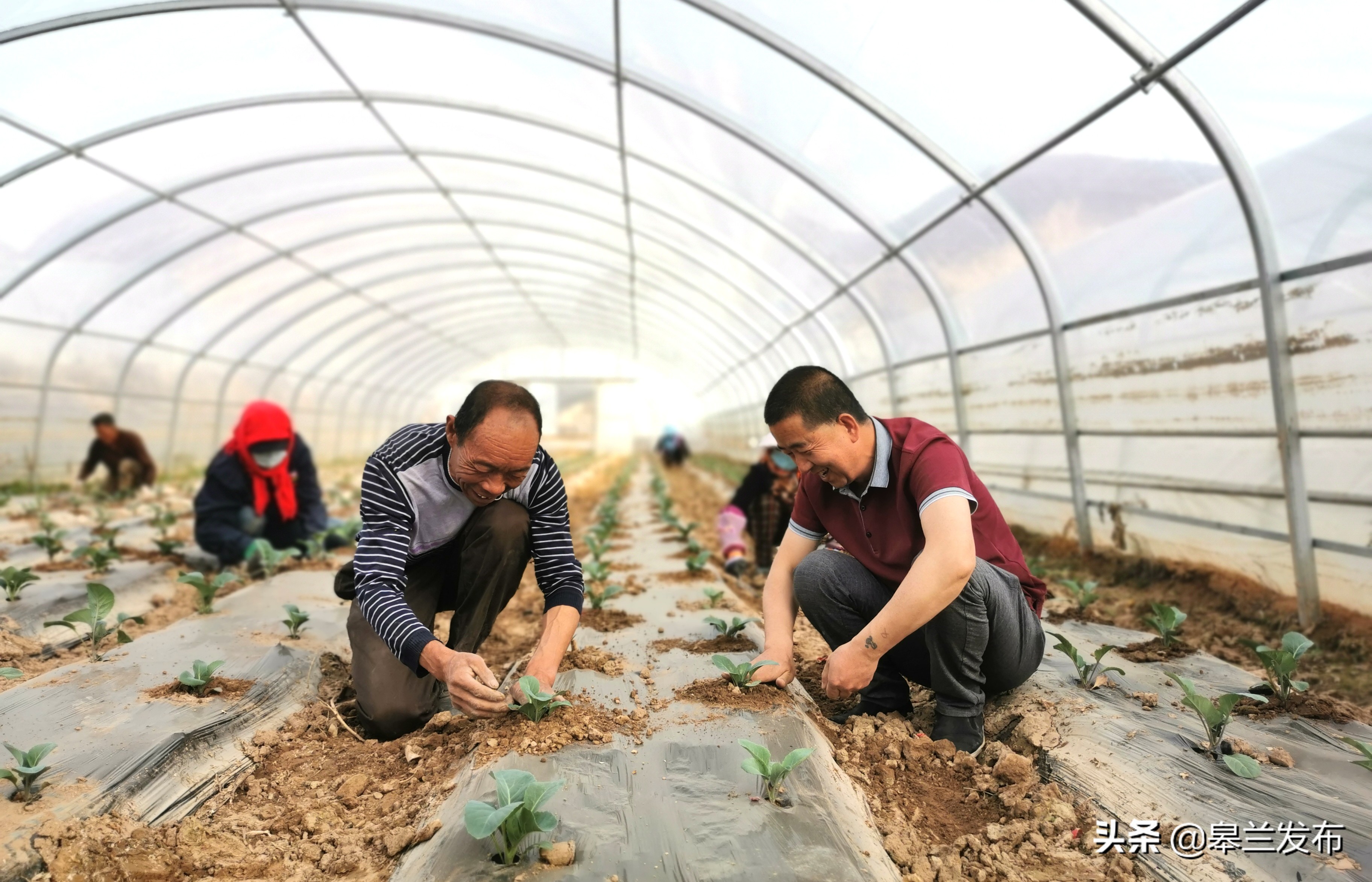 �������ⲻ��ũ�� �������ﴺ��æ