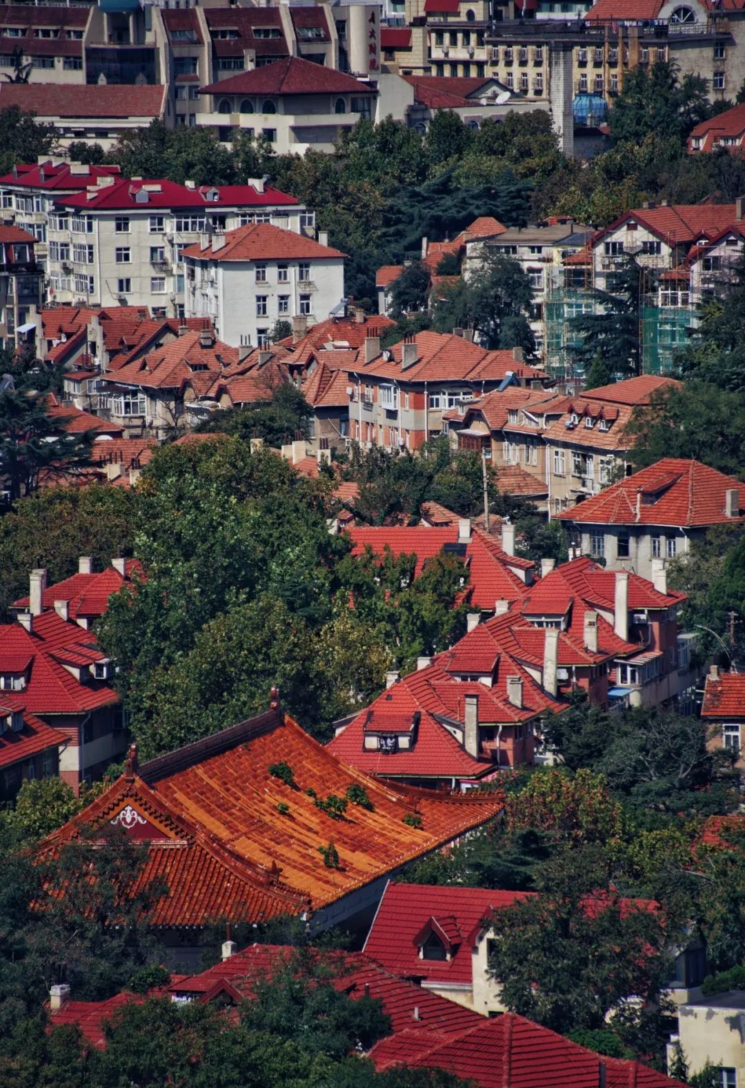 你一句春不晚，我就到了曼妙的山东！