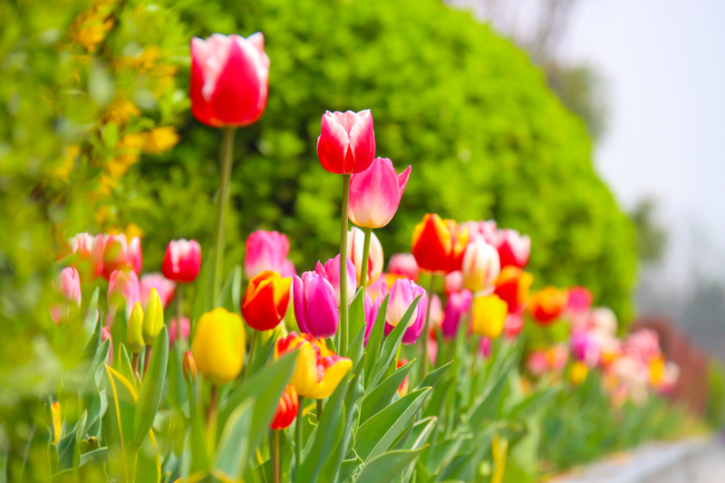 �������� | ��������·������������