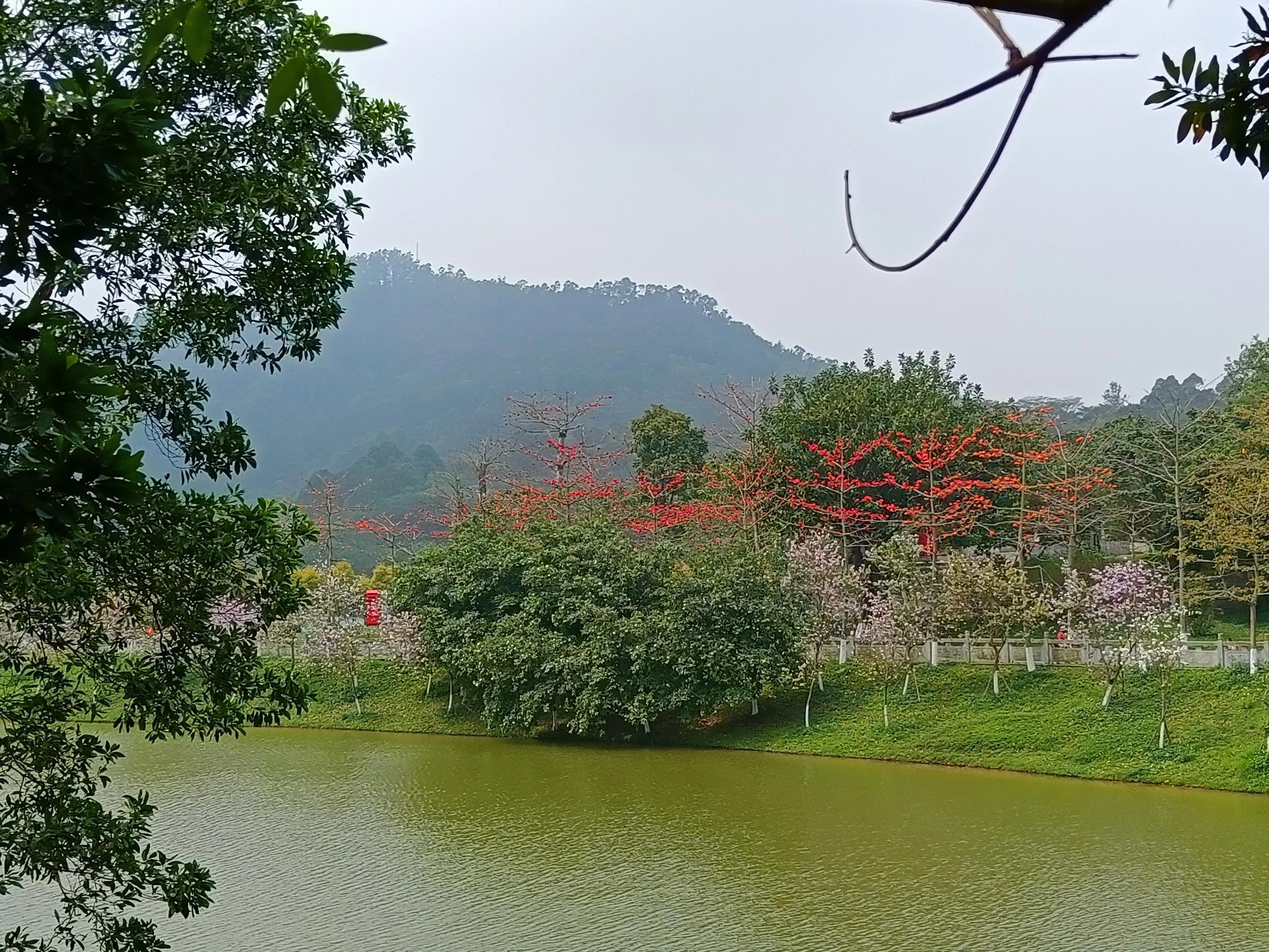 春暖花开，最美的时光在户外