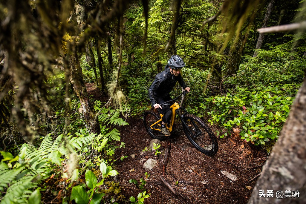 全新电机 极致轻巧静音 Trek Fuel EX-e 电助力山地车