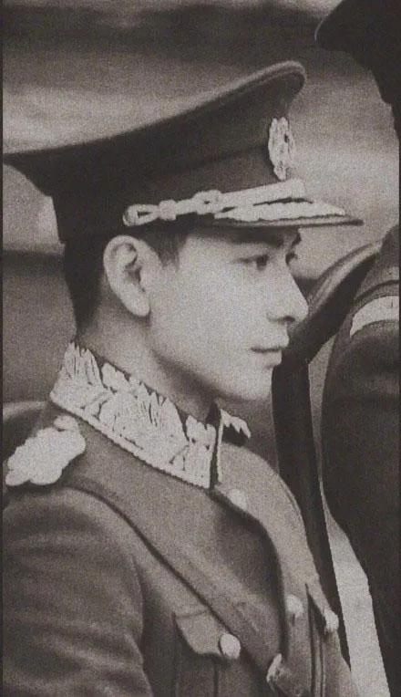 论刘亦菲和陈星旭适配度