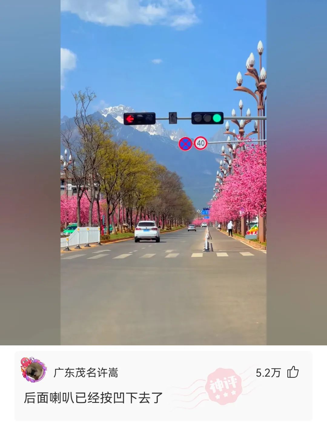 世界杯为什么没中国神回复（神回复：每个国家参与世界杯的方式不一样）