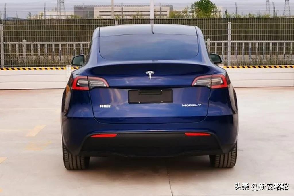 6月份单一车型销冠