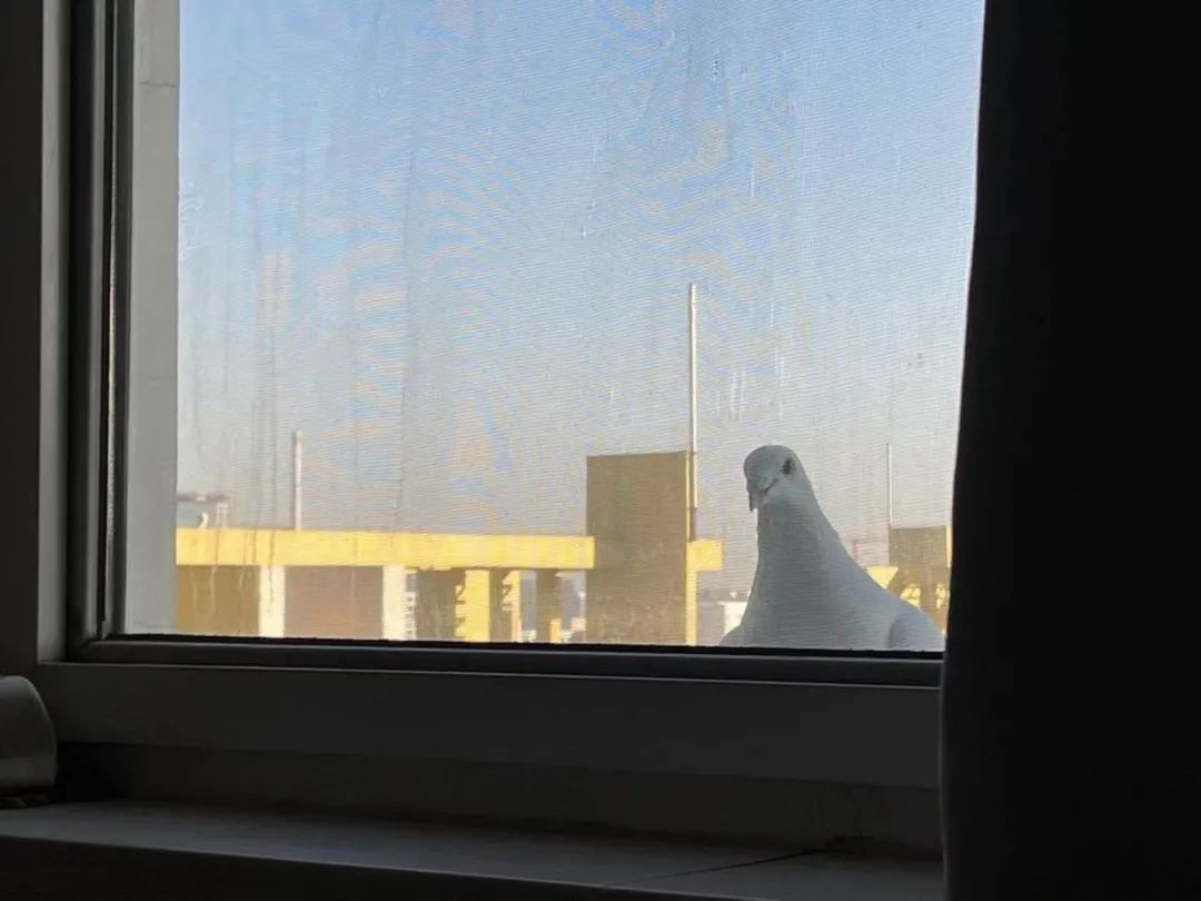 不是艺术生没学过手绘，我拿下RCA是场奇迹