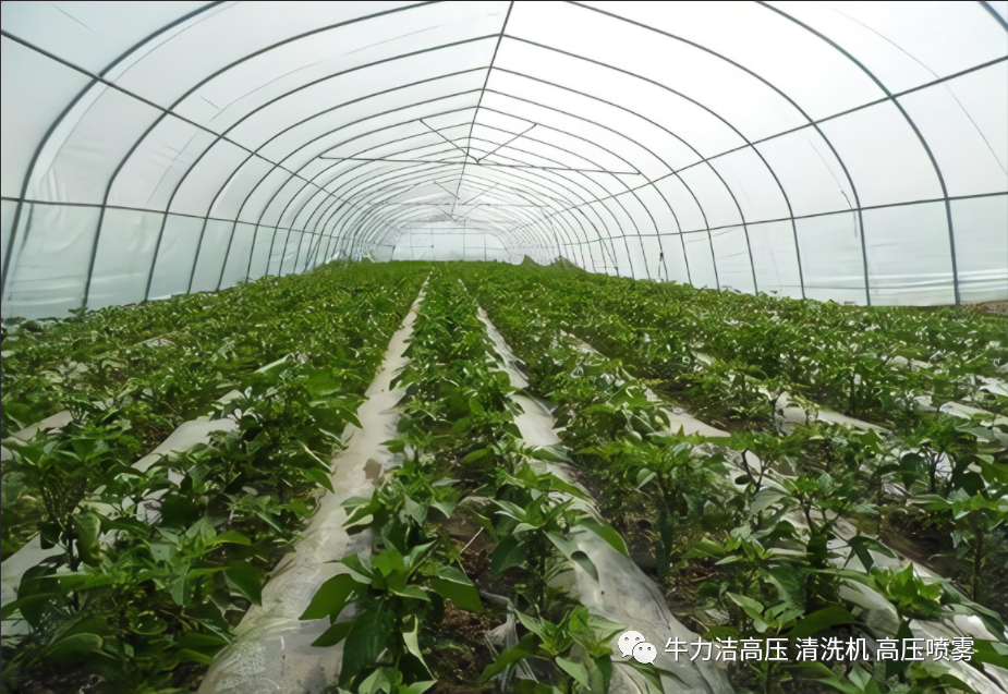 自动打药机和人工喷药的区别