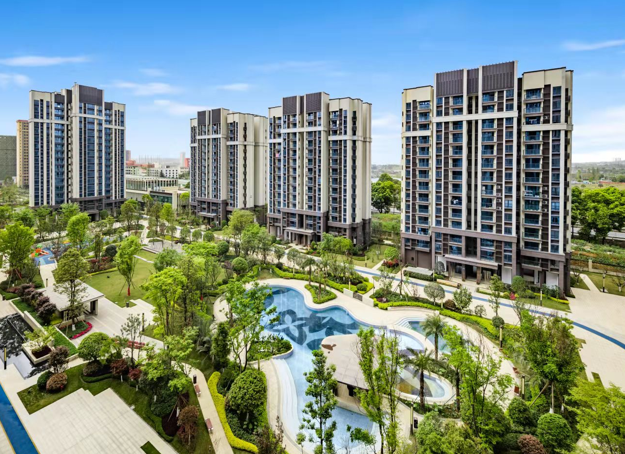 成都人才工作巡礼 | 市住建局：栽下梧桐树 引来“金凤凰”人才安居助力“蓉漂”幸福美好生活