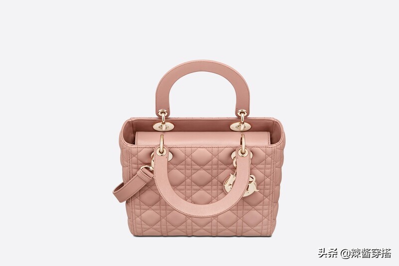 Dior Saddle、Book Tote到最新Micro Bag，一定要认识的5大经典包
