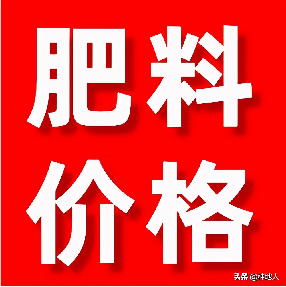 今日农用肥料价格「今日氯化钾肥料价格」