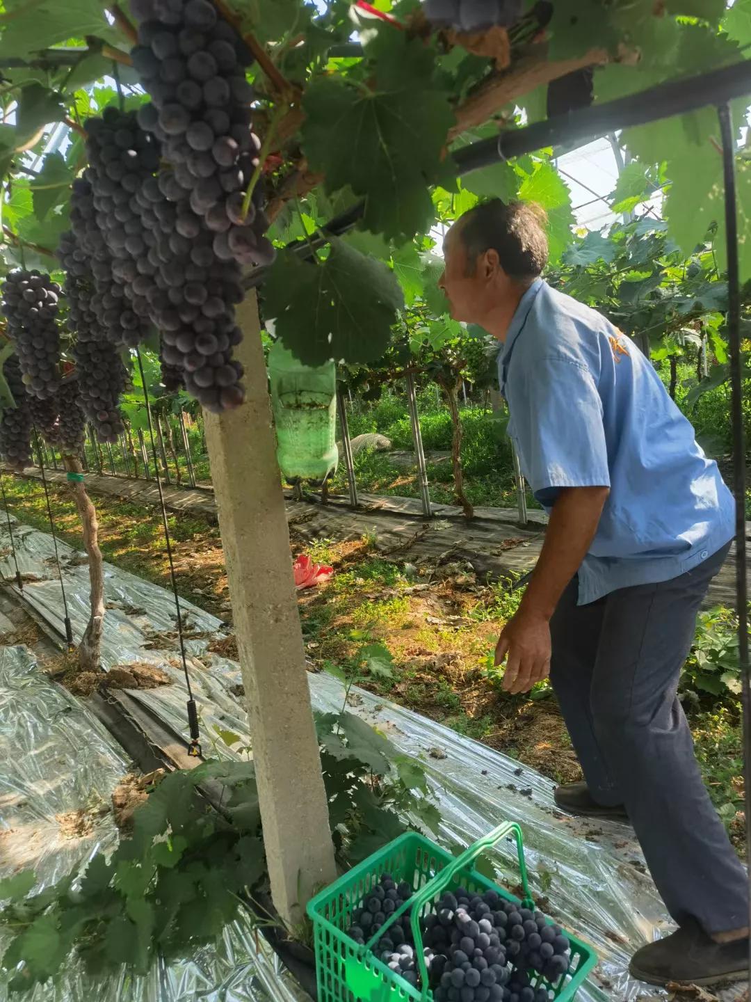 不老男神李亚鹏