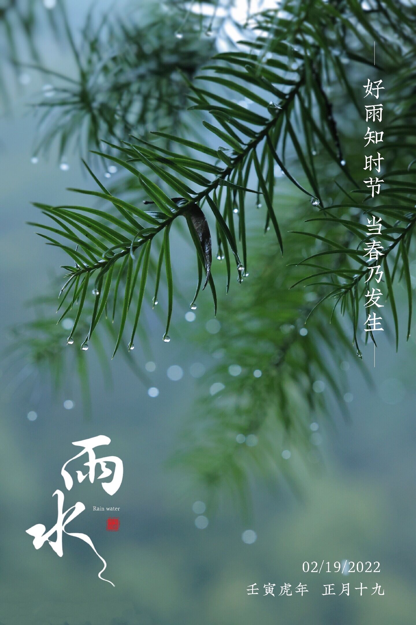 东风潜柔情，润物细无声——雨水，待生命长成，让好事发生