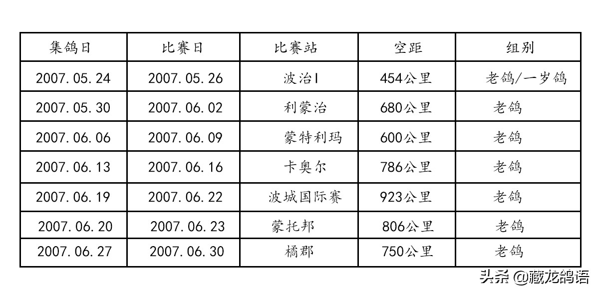 安捷赛鸽系统如何连接手机(中国鸽友有必要了解的一套比赛系统)