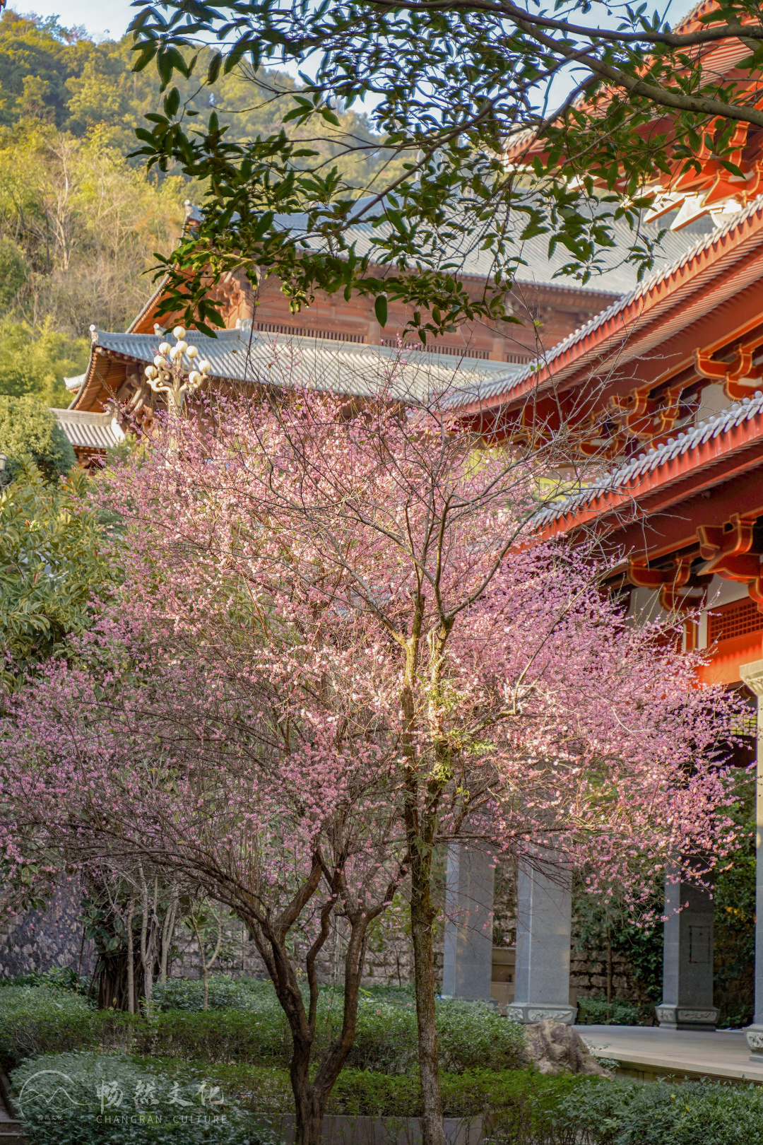 福州旗山万佛寺（福州旗山万佛寺图片）-第55张图片-科灵网