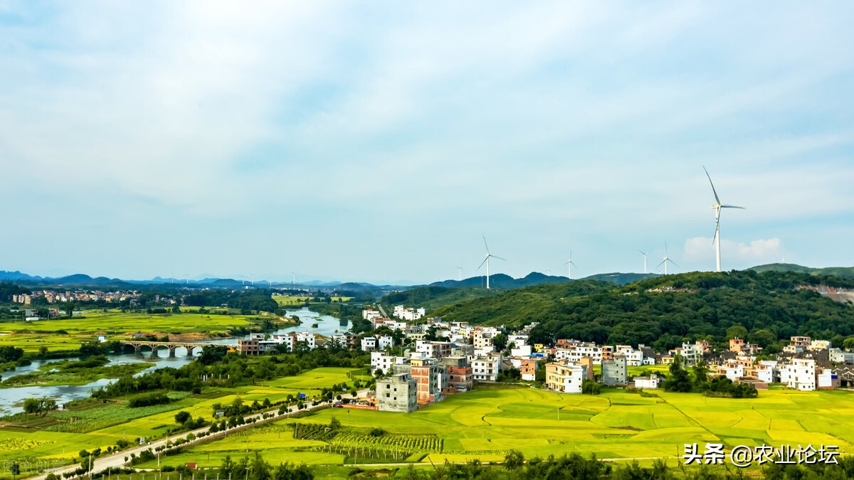 永州市零陵区2022年种植粮食有哪些补贴？补贴标准是多少？