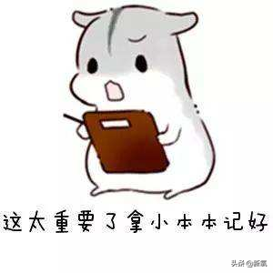 网红圈也出了个淡颜系美女！旧天台随便一拍她就火了？