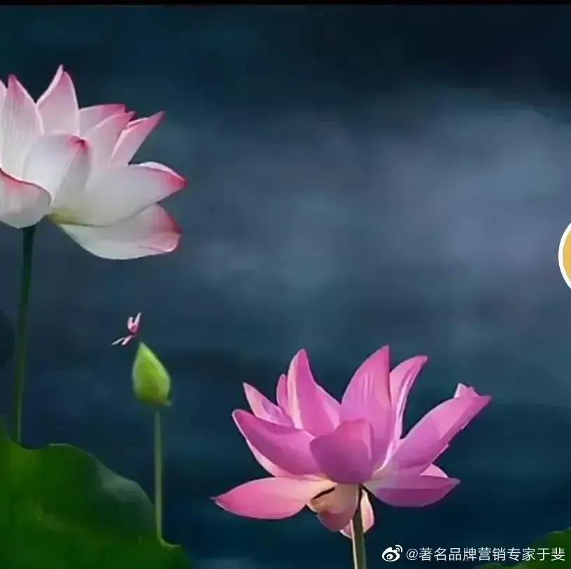 于斐老师谈：身在职场再不发光，你的人生一股霉味