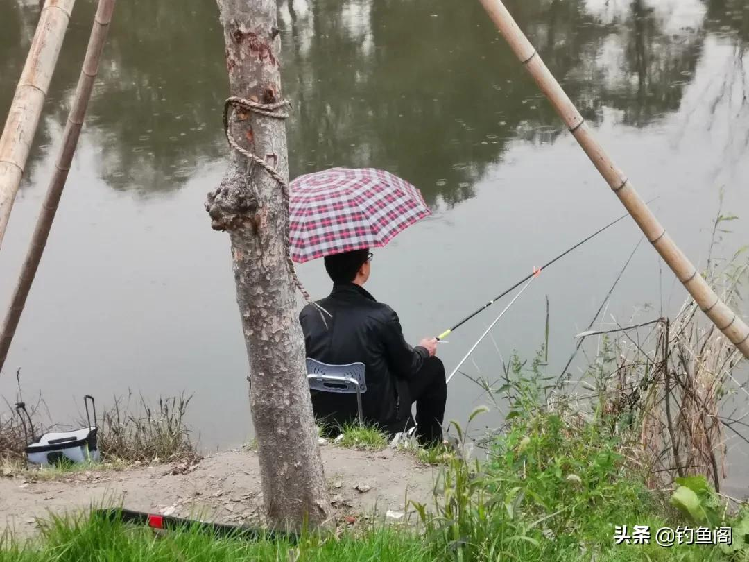 如果钓鱼也有段位,青铜白银该如何区分?看看你属于哪一阶段