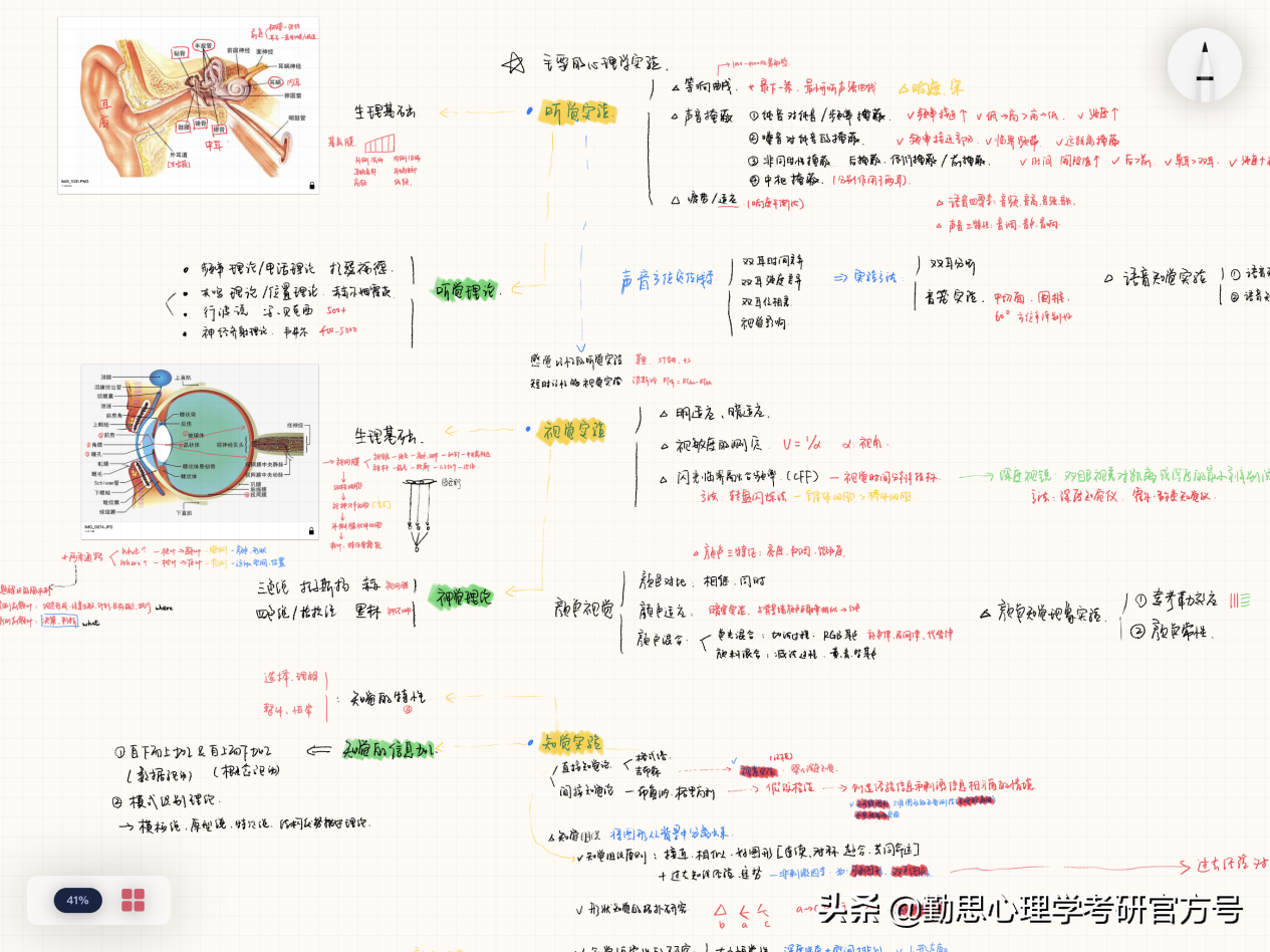 上海体育学院研究生(上海体育学院心理学考研学硕学姐：我终究会在某个地方生根发芽)