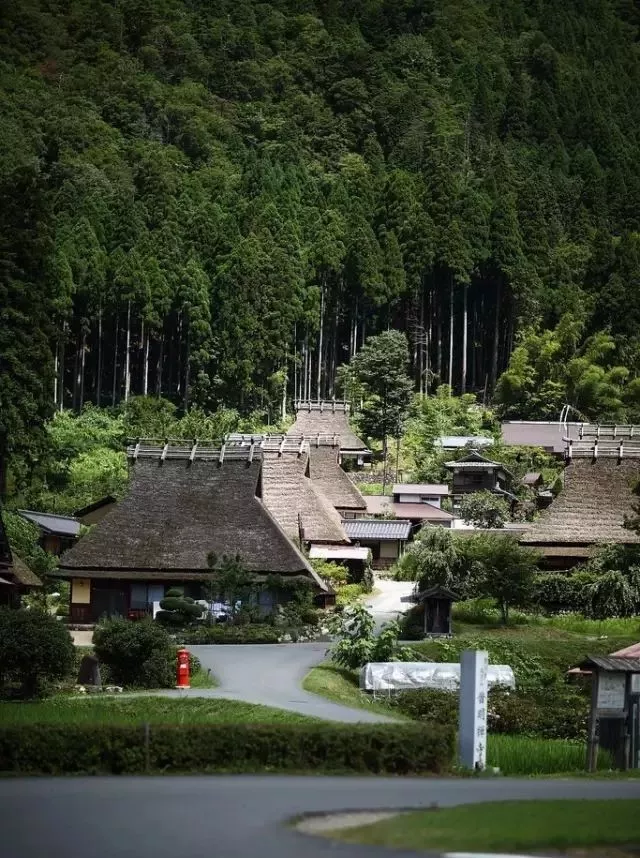 茅草房的照片（38间破茅草房竟成网红村）