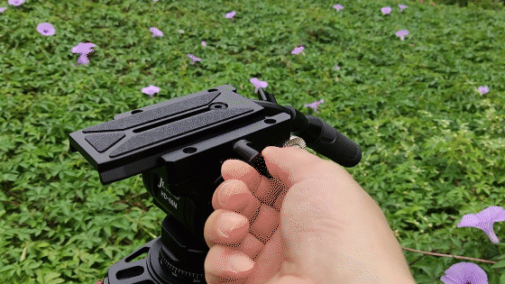 影像瞬间定格大师，佳鑫悦摄像三脚架套装