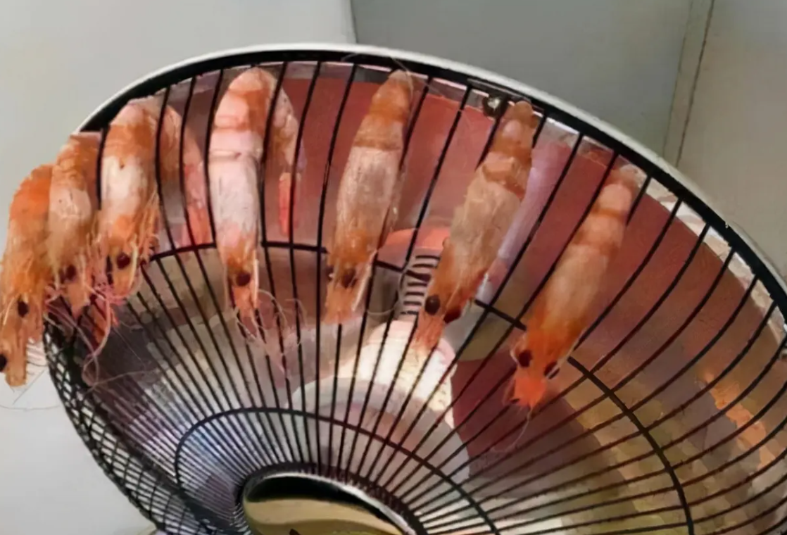 “原来饮水机还能这样用”，大学生宿舍“神操作”，个个令人捧腹