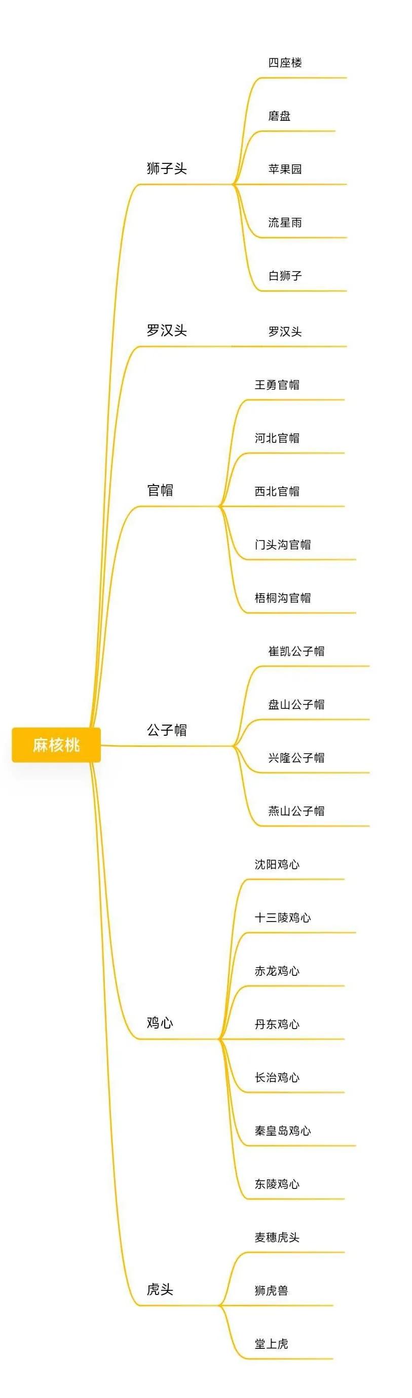 （手捻着核桃，嘴角上扬）嘿，这文玩核桃中的“四大名核”，咱也得懂点门道不是？