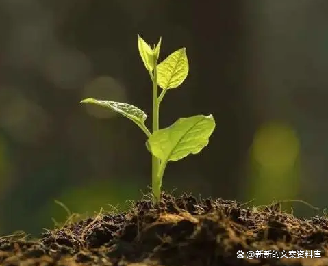 致自己励志短句,快速成长的人生感悟,让自己更加成熟强大的文案