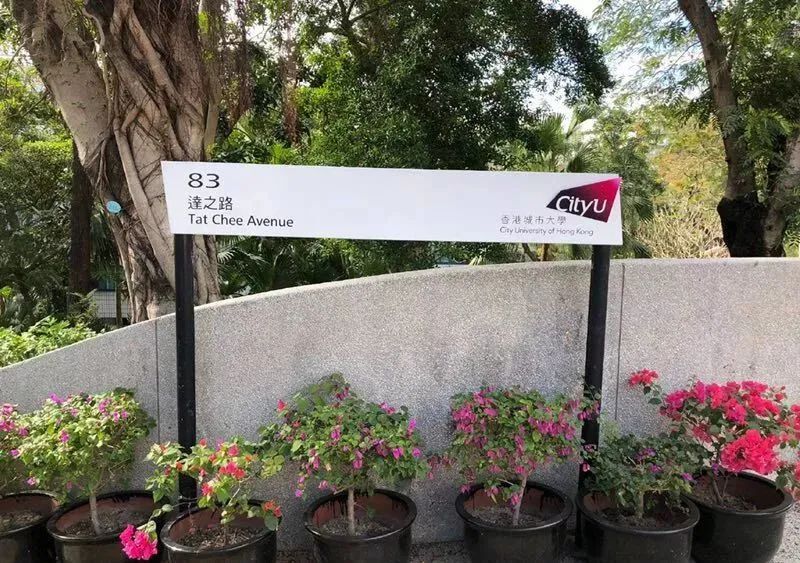 学科排名全港南坡万的招生官在线宣讲会！申请季最后的机会