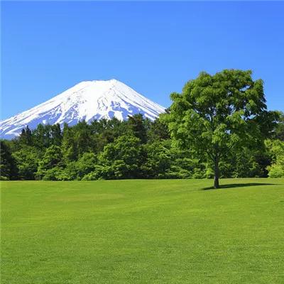 海兰珠简介(你知道海兰珠吗？)